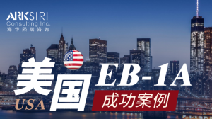 成功案例